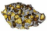 Polished Imilac Pallasite Meteorite (g) Slice #302086-1